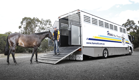Hann&#39;s Horse Transport - Servicing VIC, NSW, QLD and SA - Hanns Horse  Transport | Horse Transport NSW | VICTORIA | QLD | SA