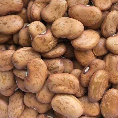 Seeds for Golden Bean Lima | Phaseolus vulgaris | Amkha Seed