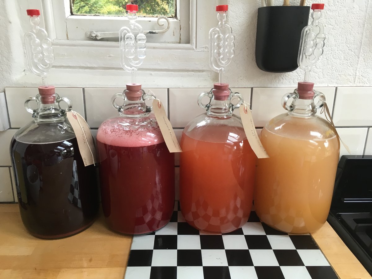 Glass Demijohns and where to find them – Almost Off Grid
